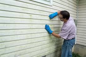 Affordable Siding Repair and Maintenance Services in St Leon, IN